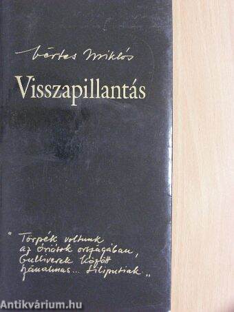 Visszapillantás