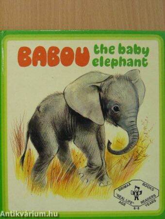Babou the baby elephant