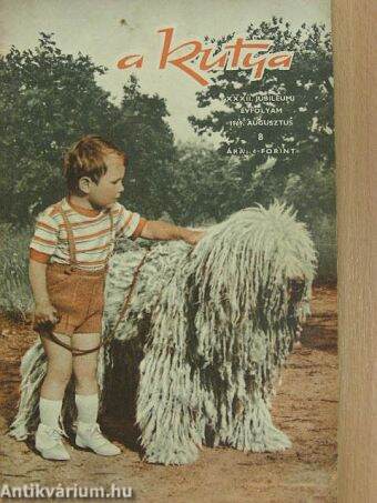 A Kutya 1969. augusztus