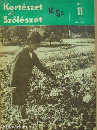 Kertészet és Szőlészet 1967. június