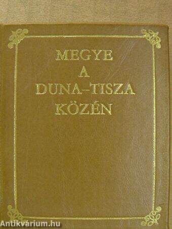 Megye a Duna-Tisza közén (minikönyv)