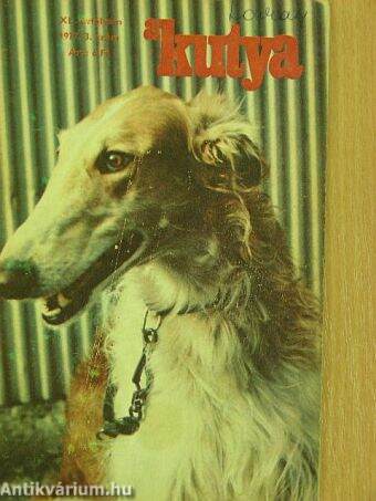 A kutya 1977/3.