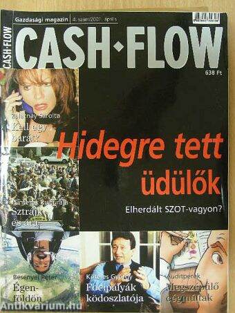 Cash flow 2001. április