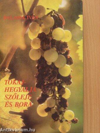 Tokaj-Hegyalja szőleje és bora