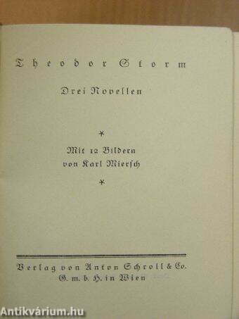 Theodor Storm Drei Novellen (gótbetűs)