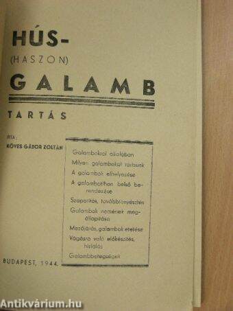 Hús- (haszon) galamb tartás