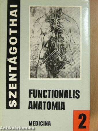 Functionalis anatomia 2.