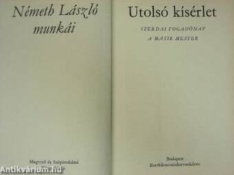 Utolsó kísérlet II. (töredék)