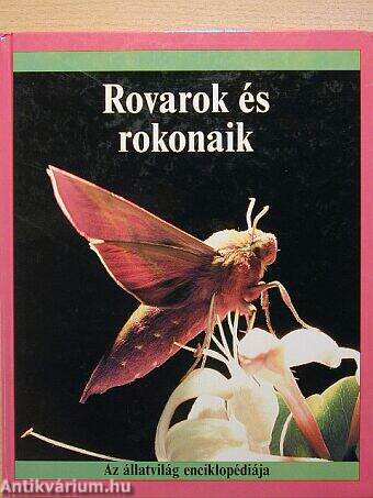 Rovarok és rokonaik