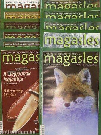 Magasles 2004. (nem teljes évfolyam)