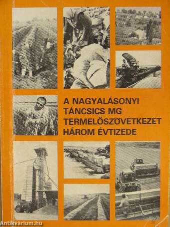 A nagyalásonyi Táncsics MG Termelőszövetkezet három évtizede