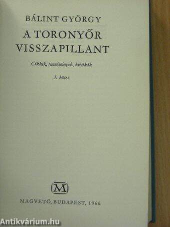 A toronyőr visszapillant I-II.