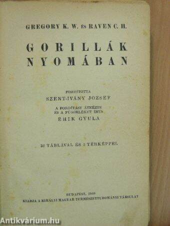 Gorillák nyomában