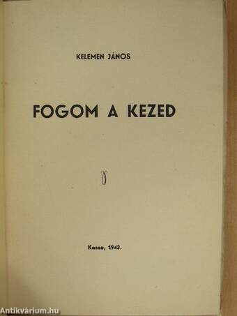 Fogom a kezed