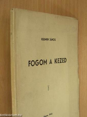 Fogom a kezed