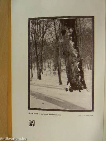 Turistaság és Alpinizmus 1935. december