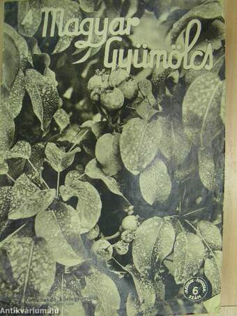 A Magyar Gyümölcs 1935. junius 10.