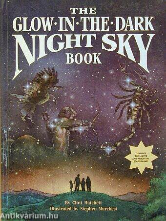 The glow in the dark night sky book