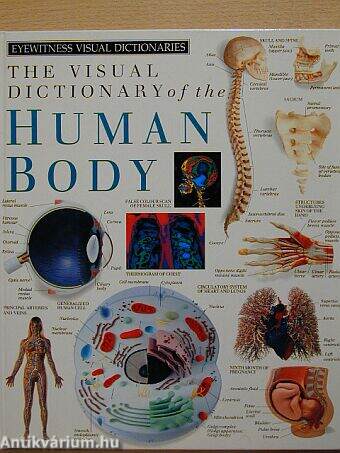 The visual dictionary of the human body