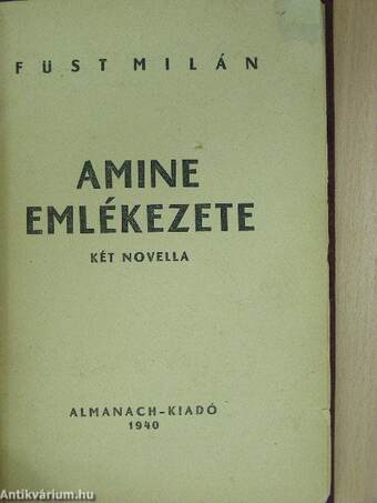 Amine emlékezete/Szakadék