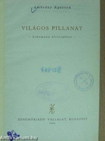 Világos pillanat