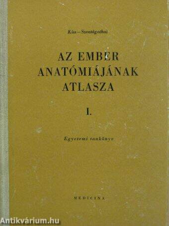 Az ember anatómiájának atlasza I. (töredék)