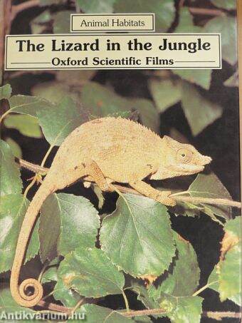 The Lizard in the Jungle