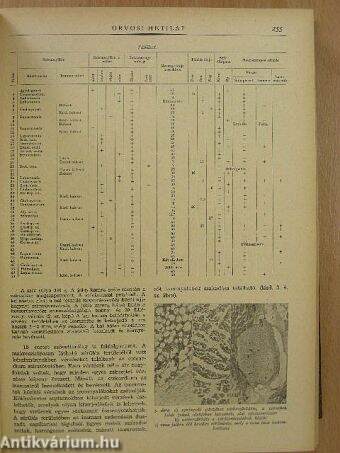 Orvosi Hetilap 1962. január-december I-II.