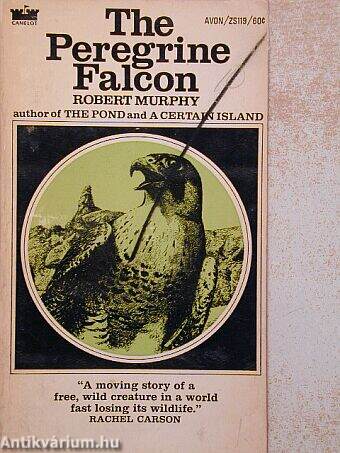 The Peregrine Falcon