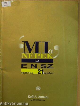 "Mi a népek", Az ENSZ szerepe a 21. században