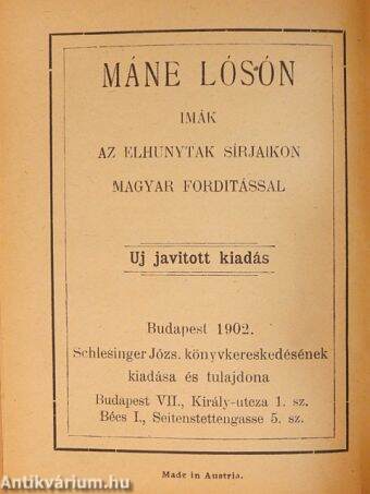 Máne Lósón