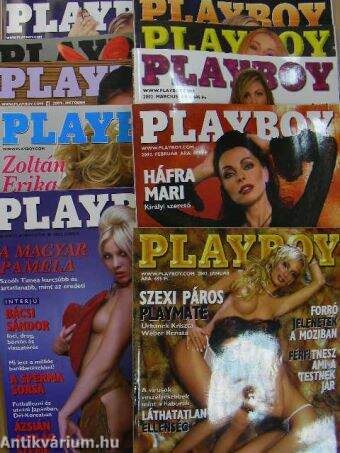 Playboy 2002. (nem teljes évfolyam)