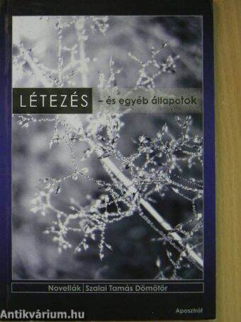 Létezés - és egyéb állapotok