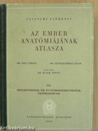 Az ember anatómiájának atlasza III. (töredék)