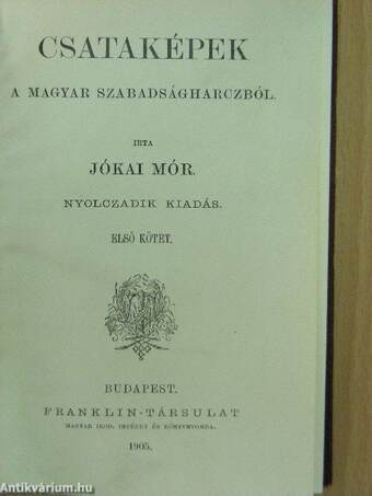 Csataképek a magyar szabadságharczból I-II./Bujdosó naplója/Megölt ország