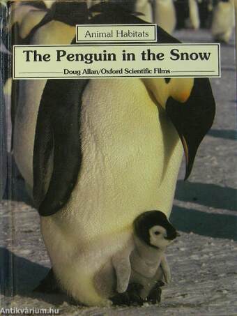 The Penguin in the Snow