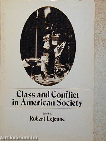 Class and Conflict in American Society