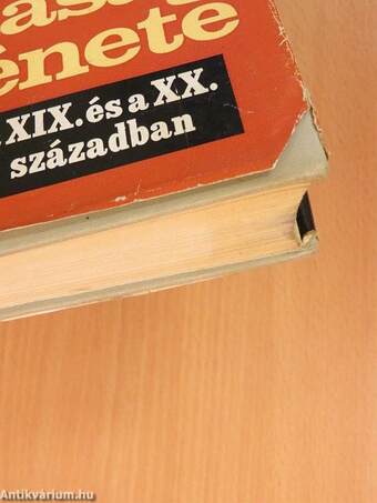 A világ gazdaságtörténete a XIX. és a XX. században