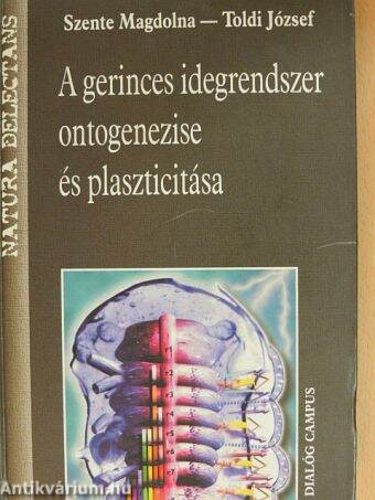 A gerinces idegrendszer ontogenezise és plaszticitása