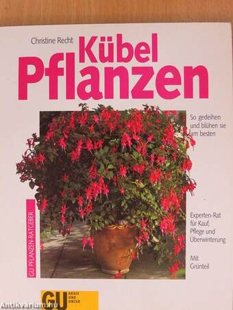 Kübelpflanzen