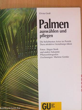 Palmen auswählen und pflegen