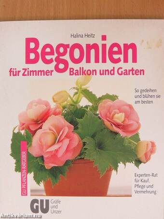 Begonien für Zimmer, Balkon und Garten