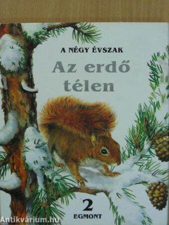 Az erdő télen