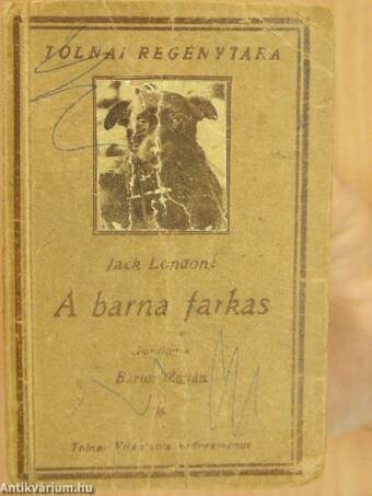 A barna farkas