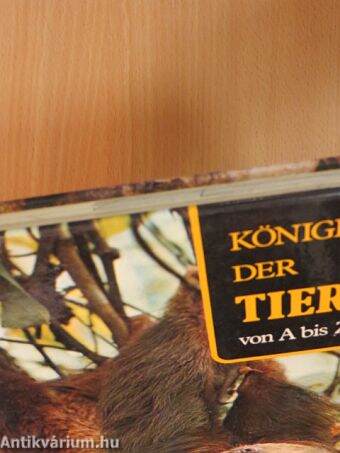 Königreich der Tiere von A bis Z 4. (töredék)