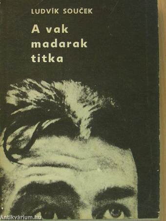 A vak madarak titka