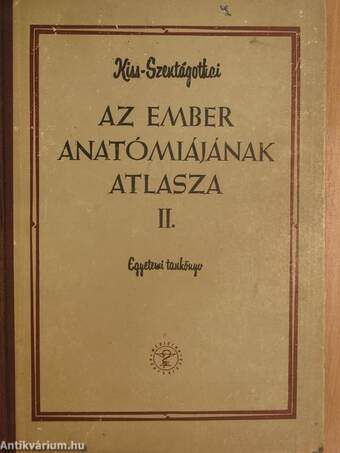 Az ember anatómiájának atlasza II. (töredék)