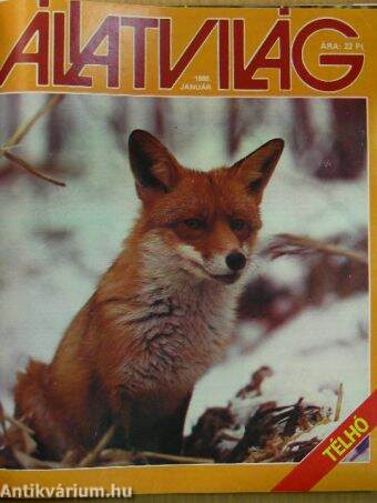 Állatvilág 1988. (nem teljes évfolyam)