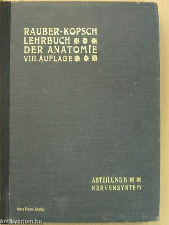 Rauber's Lehrbuch der Anatomie des Menschen Abteilung 5. (töredék)