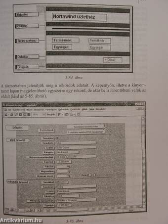 Microsoft Access 97